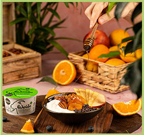 Veloudo yogurt with honey, apple, dried fruit and chocolate
